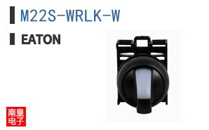 M22S-WRLK-W