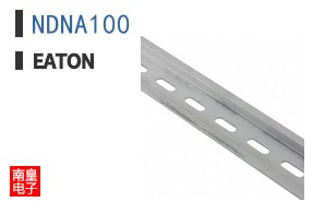 NDNA100
