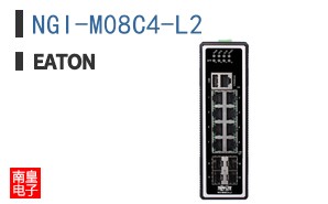 NGI-M08C4-L2
