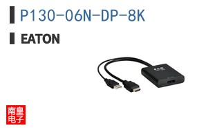 P130-06N-DP-8K