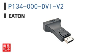 P134-000-DVI-V2
