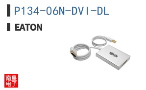 P134-06N-DVI-DL