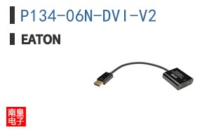 P134-06N-DVI-V2