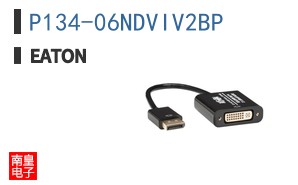 P134-06NDVIV2BP