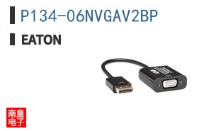 P134-06NVGAV2BP