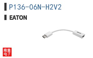 P136-06N-H2V2