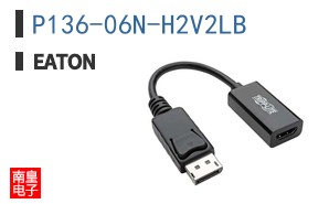 P136-06N-H2V2LB