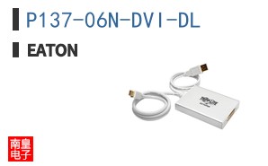 P137-06N-DVI-DL
