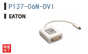 P137-06N-DVI