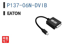 P137-06N-DVIB