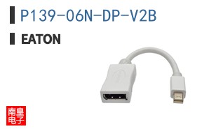 P139-06N-DP-V2B