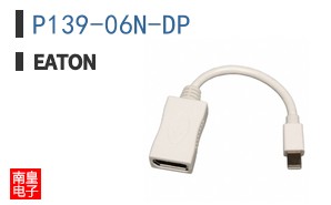P139-06N-DP