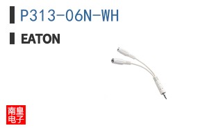 P313-06N-WH