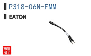 P318-06N-FMM