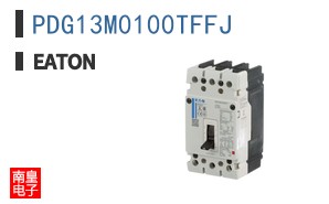 PDG13M0100TFFJ