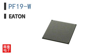 PF19-W