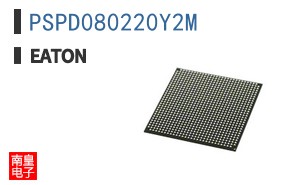 PSPD080220Y2M