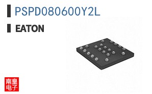 PSPD080600Y2L