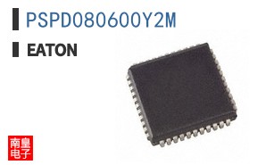 PSPD080600Y2M