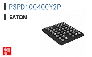 PSPD100400Y2P