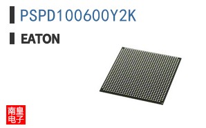 PSPD100600Y2K