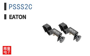 PSSS2C