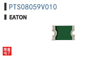 PTS08059V010