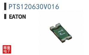 PTS120630V016