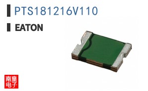 PTS181216V110