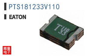 PTS181233V110