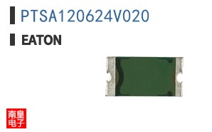PTSA120624V020