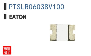 PTSLR06038V100