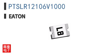 PTSLR12106V1000