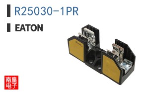 R25030-1PR