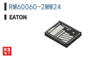 RM60060-2MW24