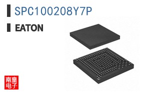 SPC100208Y7P