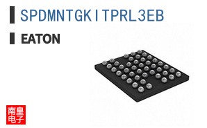 SPDMNTGKITPRL3EB
