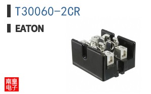 T30060-2CR