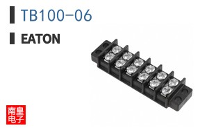 TB100-06