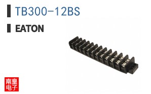 TB300-12BS