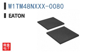 W1TM48NXXX-0080