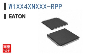 W1XX4XNXXX-RPP