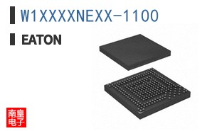 W1XXXXNEXX-1100