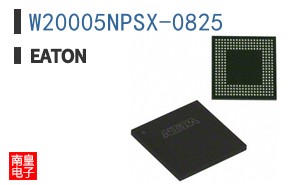 W20005NPSX-0825