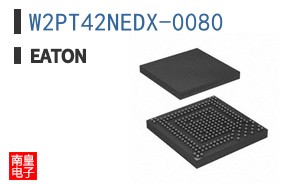 W2PT42NEDX-0080