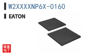 W2XXXXNP6X-0160