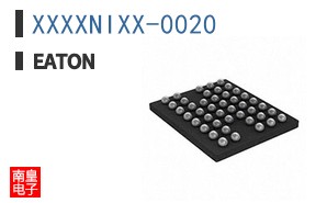 XXXXNIXX-0020