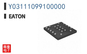 Y03111099100000