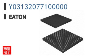 Y03132077100000