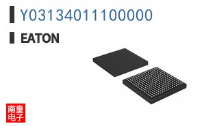 Y03134011100000